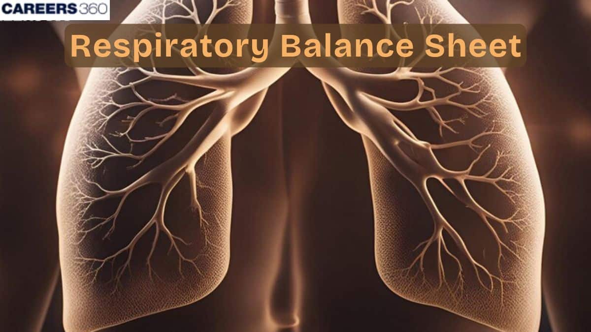 Respiratory Balance Sheet: Assumptions, Efficiency, and Respiratory Quotient